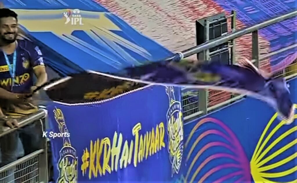 IPL 2022